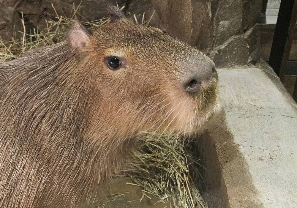 行程特色圖片