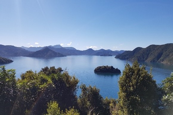 馬爾堡峽灣遊船