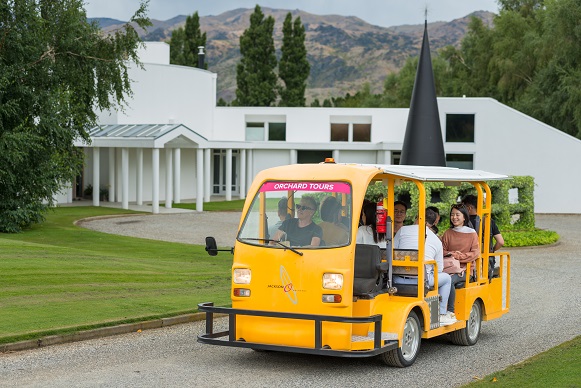 Guided Orchard Tours