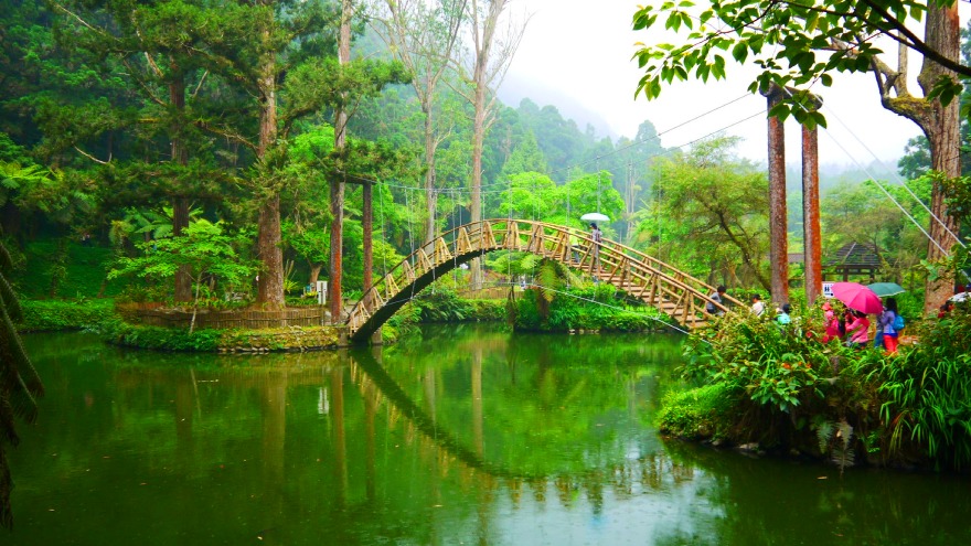 溪頭自然教育園區