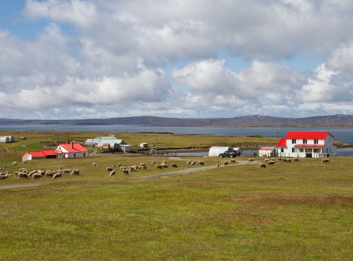 福克蘭群島