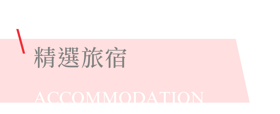 雄獅中南美