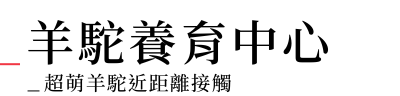 羊駝