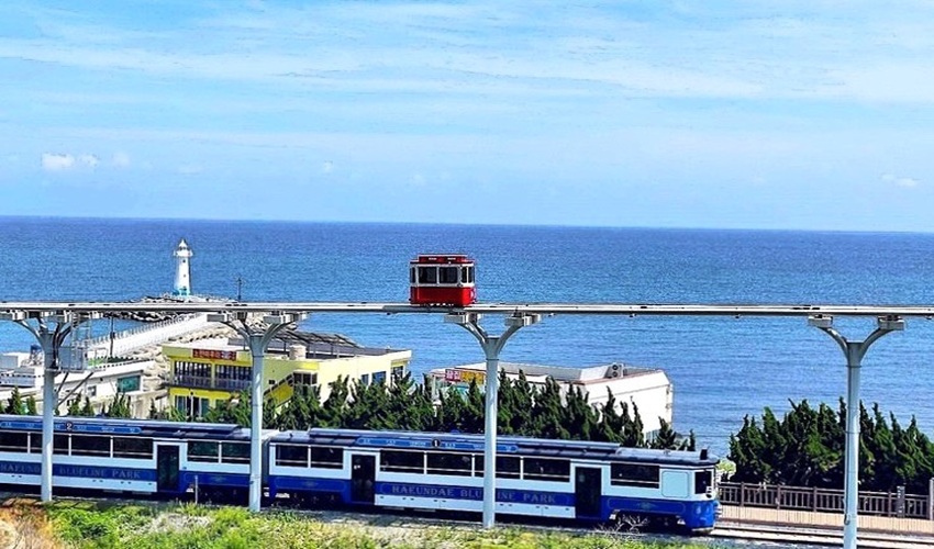 韓國境之南｜釜山濱海列車.麗水海上纜車.光州藍染文化.密陽位良池8日｜無購物.美食100選