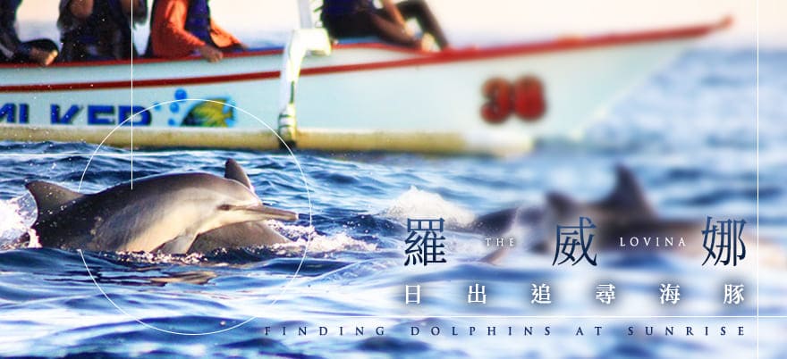 羅威娜日出追尋海豚