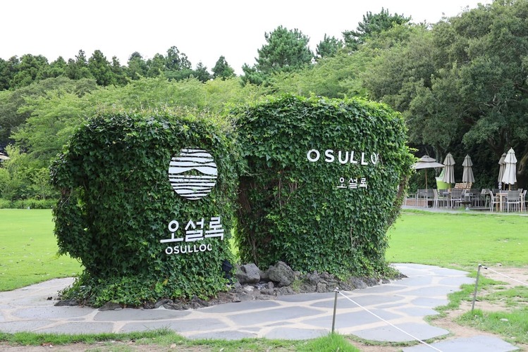 行程特色圖片