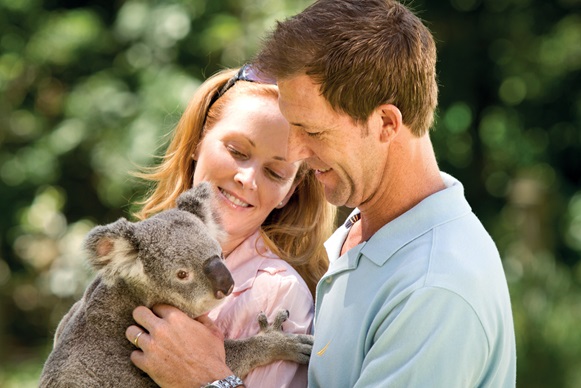 Currumbin Wildlife Sanctuary