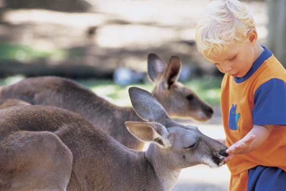 Currumbin Wildlife Sanctuary