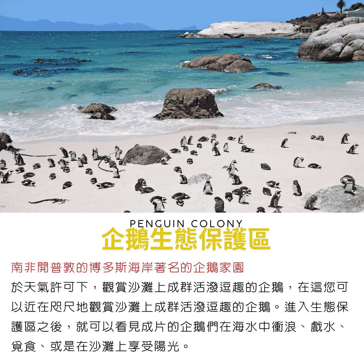 企鵝生態保護區