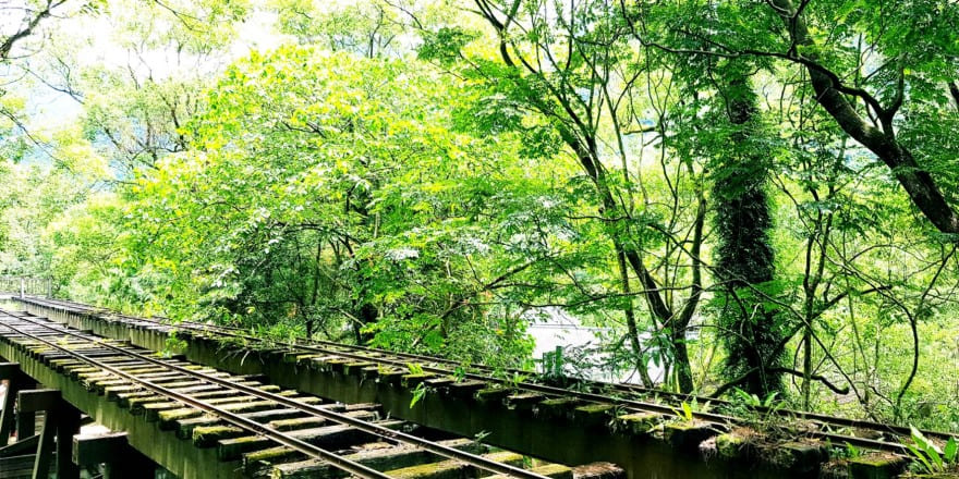 花蓮,鳳林,林田山,林業,文化
