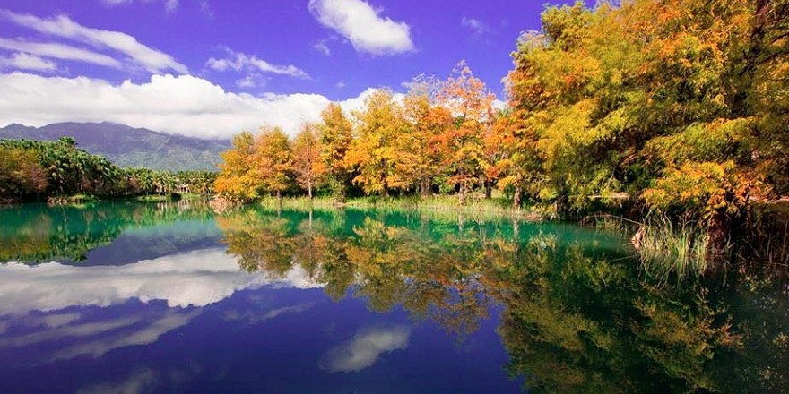 花蓮,壽豐,雲山水,夢幻湖,落羽松