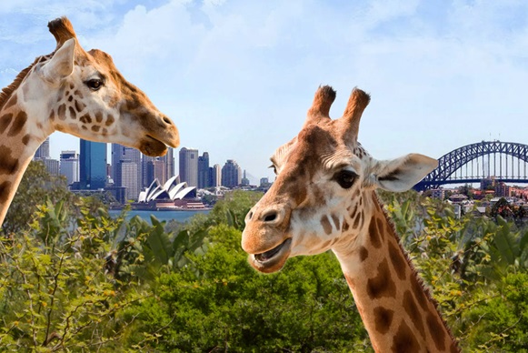 Taronga Zoo