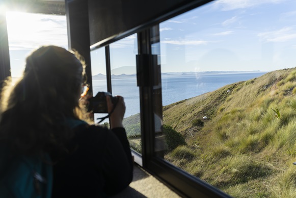 皇家信天翁中心導覽之旅