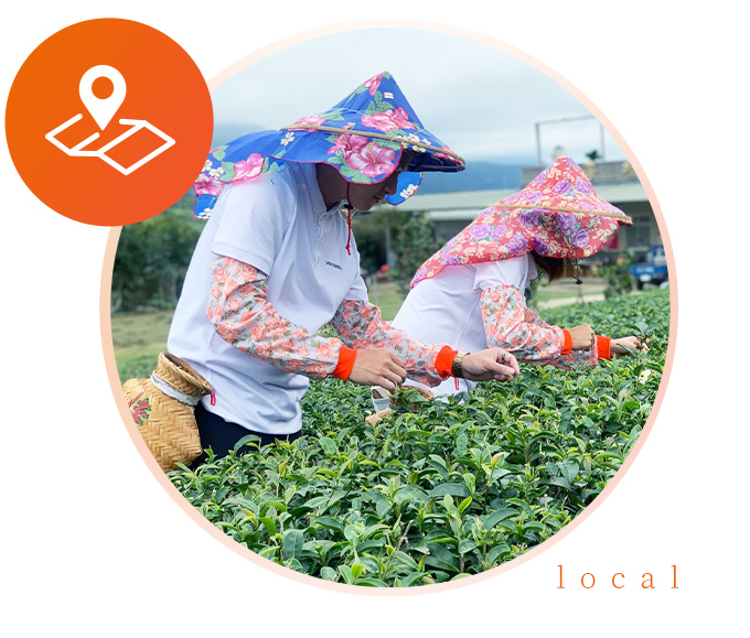 改版鳴日號_服務內容