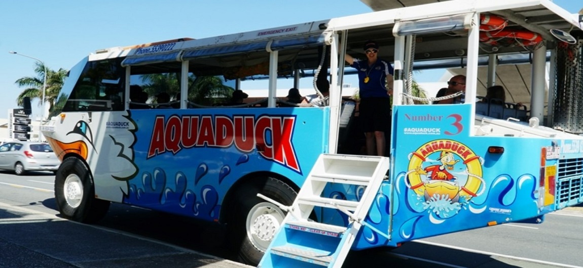 奇鴨海陸大進擊