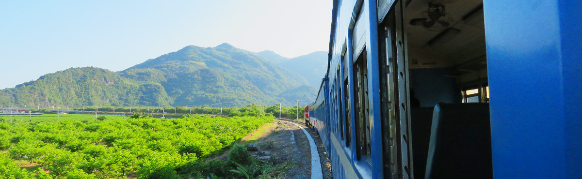 藍皮,藍皮解憂號