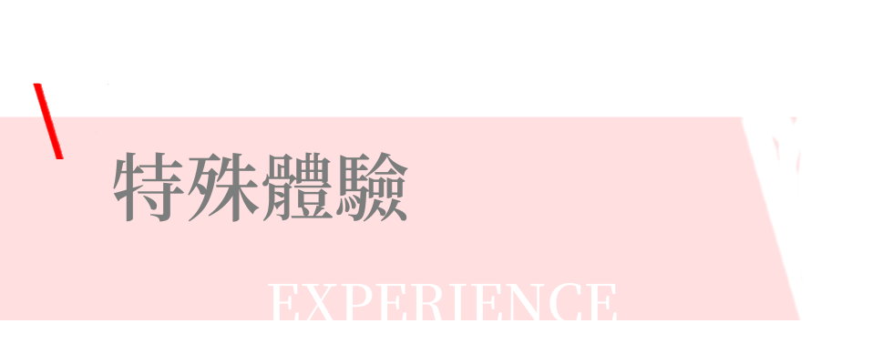 特殊體驗