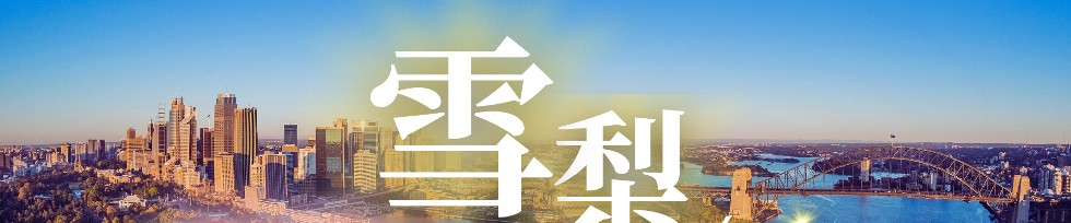 圖片Alt*