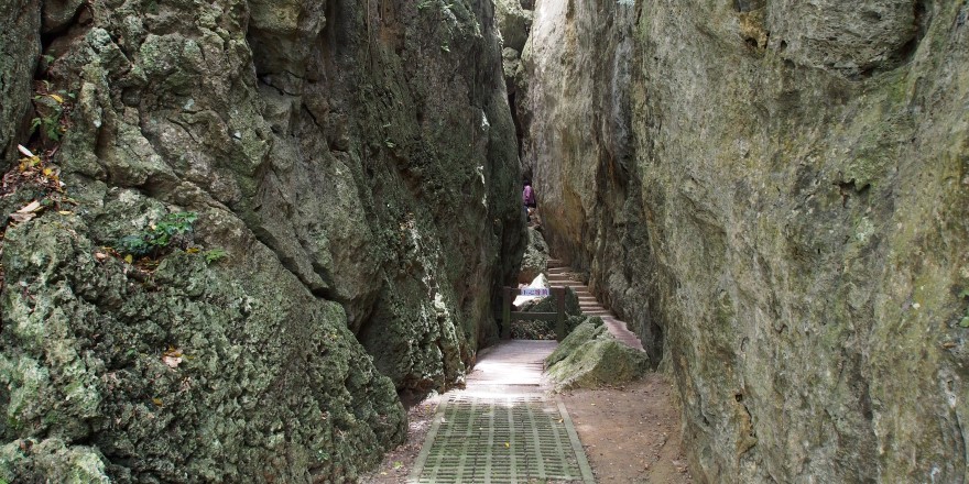 屏東,恆春,墾丁,社頂,社頂自然公園,大草原,一線天,珊瑚礁