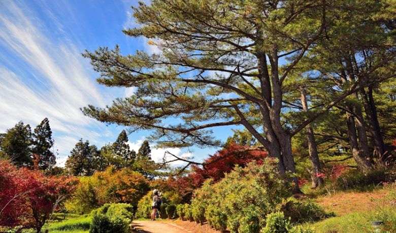 清水寺