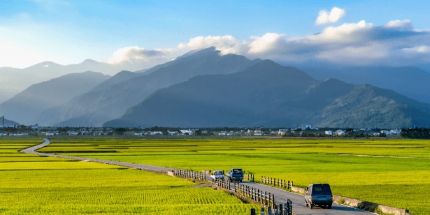 台東,池上,大波池,伯朗大到,天堂路,拉拉車