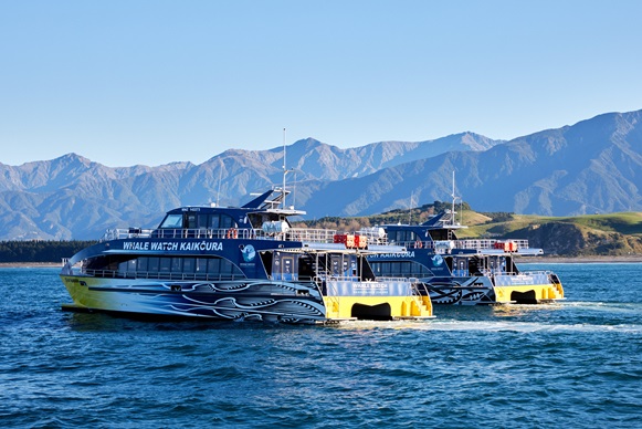 Whale Watch Kaikoura