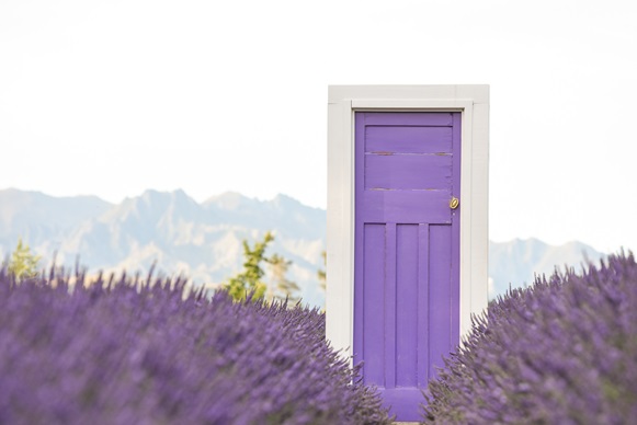 Wanaka Lavender Farm