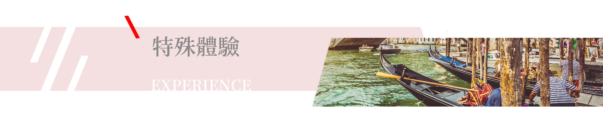 特別安排,特別企劃