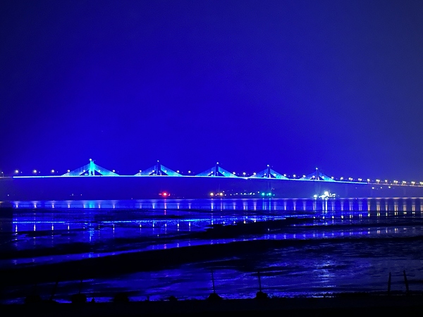 金門.藍眼淚.夜尋藍眼淚.夜訪藍眼淚