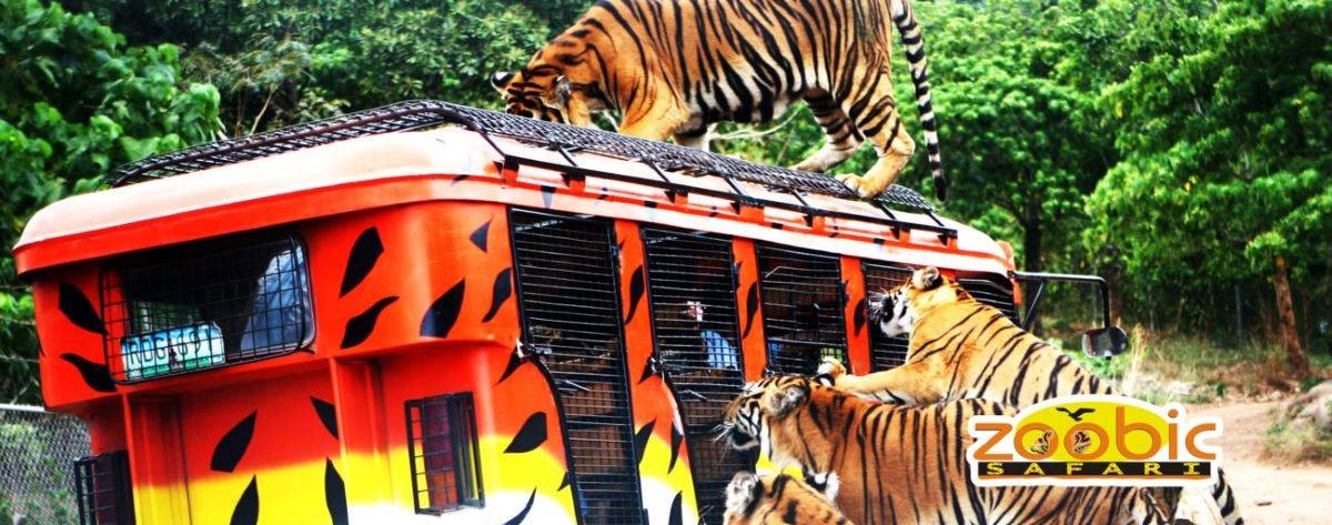 ZOOBIC SAFARI 蘇比克灣野生動物園