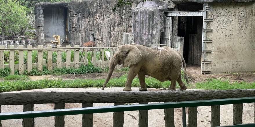 高雄,壽山,動物園,新動物園