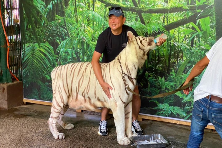 ZOOBIC SAFARI 蘇比克灣野生動物園