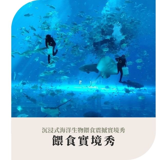 行程特色圖片