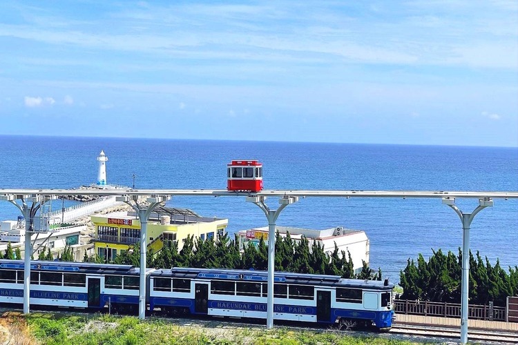 海雲台濱海列車.天空膠囊