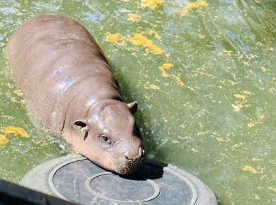 行程特色圖片