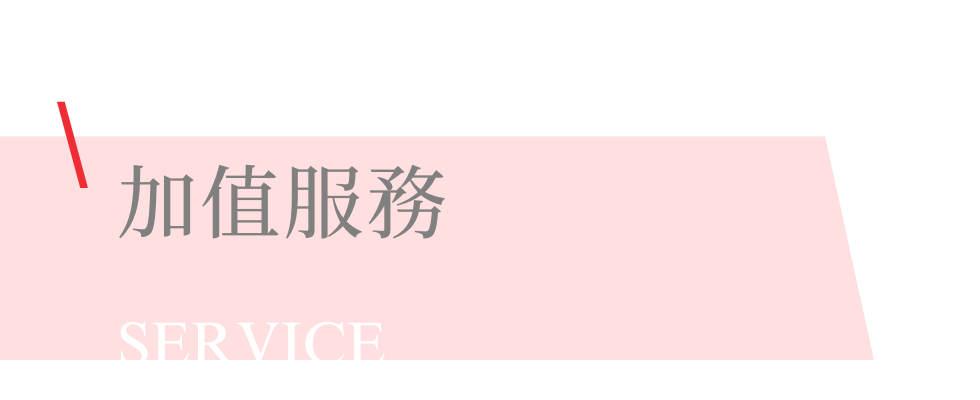 雄獅中南美
