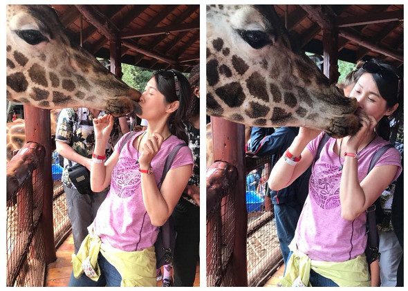 長頸鹿教育中心-圖