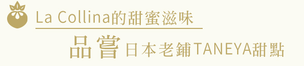 行程特色圖片