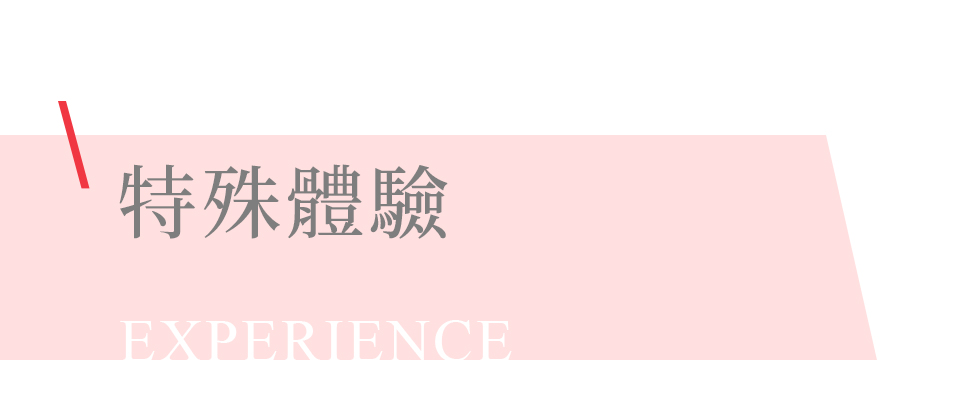 特殊體驗