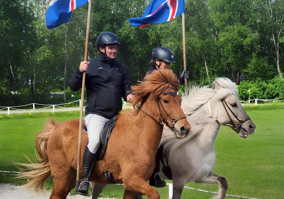 冰島, 冰島旅遊, 冰島馬, 冰島馬秀