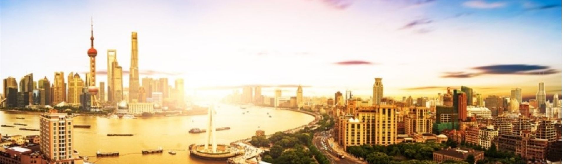 上海橫幅