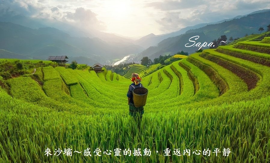 沙壩梯田