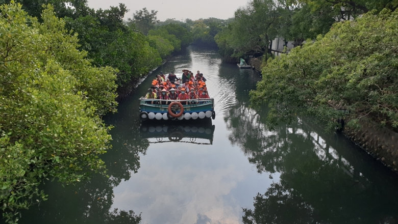 台江國家公園／綠色隧道線