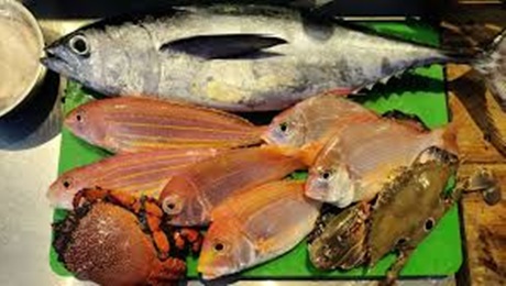 食魚文化(選魚、料理廚房)