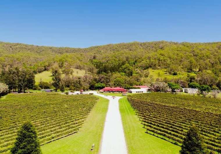 希路美酒莊品酒體驗