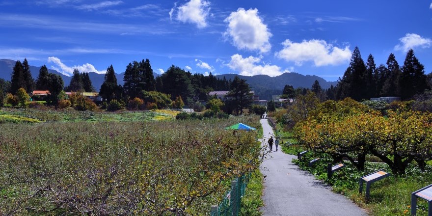 台中,福壽山,福壽山農場
