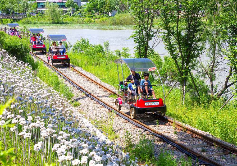 義王鐵道自行車