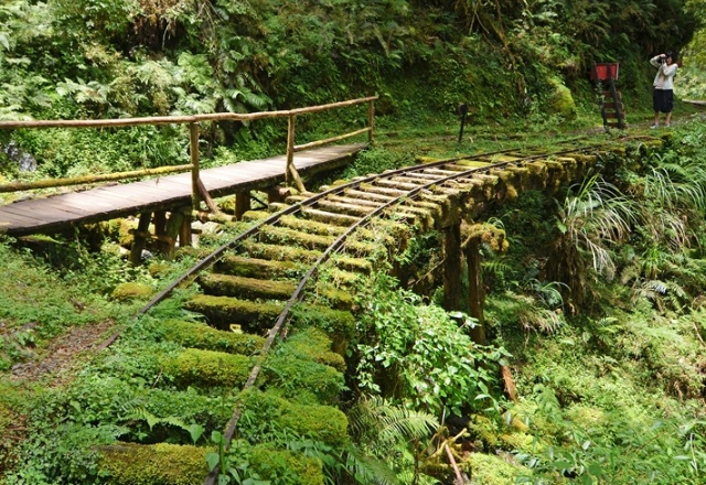 圖