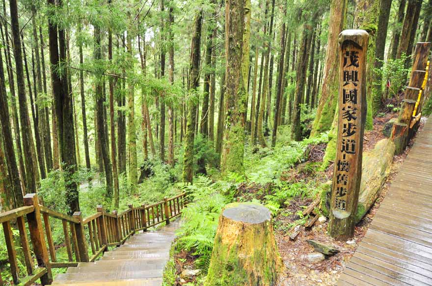 茂興懷舊步道