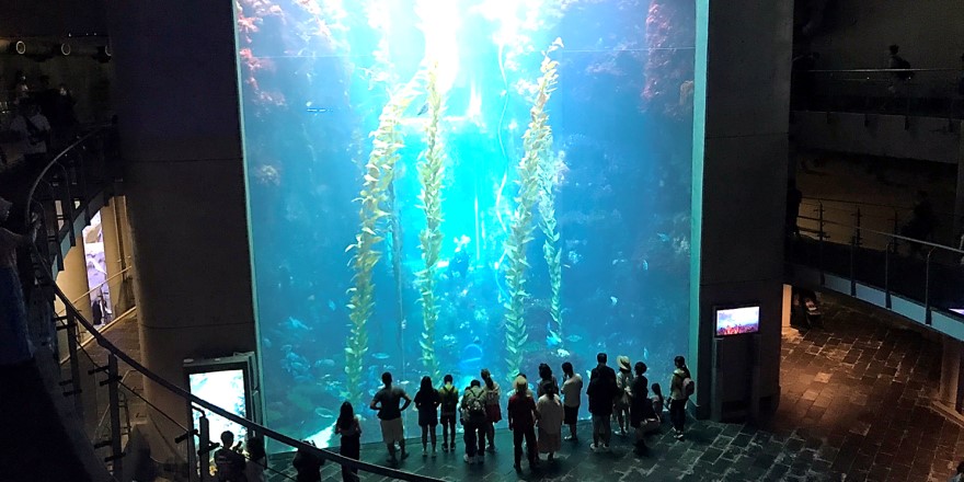 屏東,車城,國立海洋生物博物館,海生館